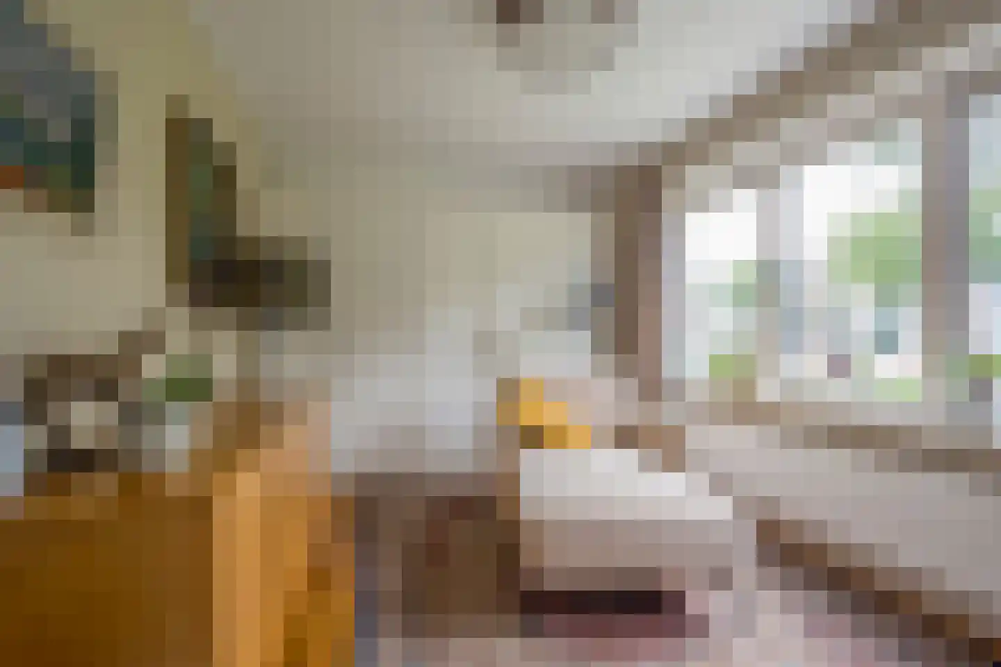 Akker 52 De Bilt thumbnail 25