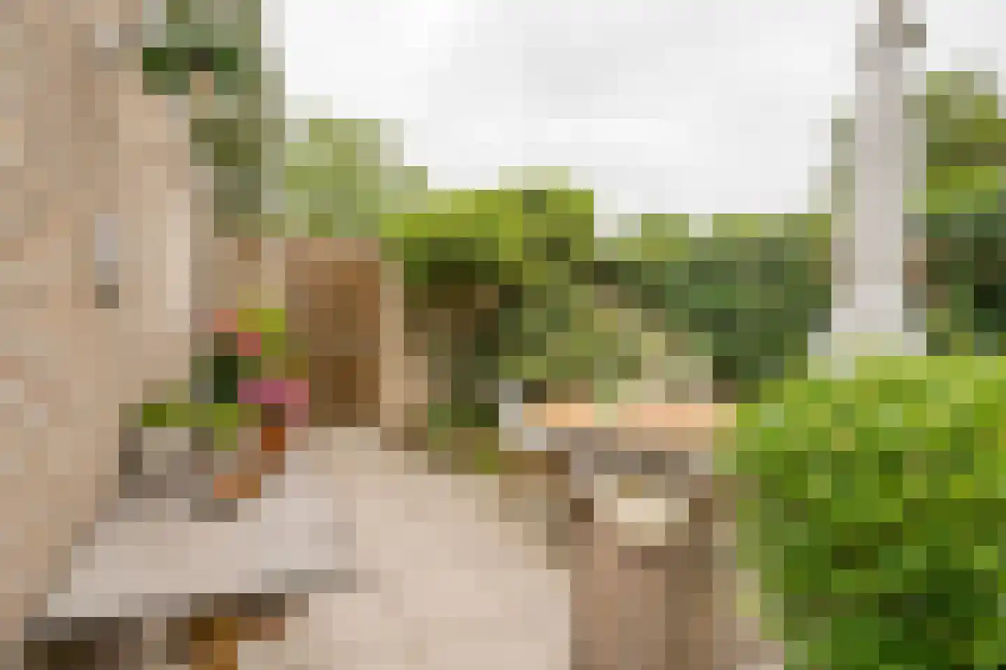 Akker 52 De Bilt thumbnail 36