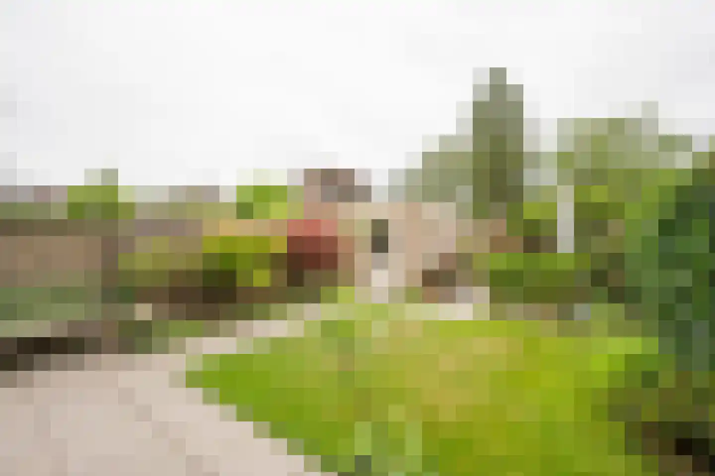 Akker 52 De Bilt thumbnail 37
