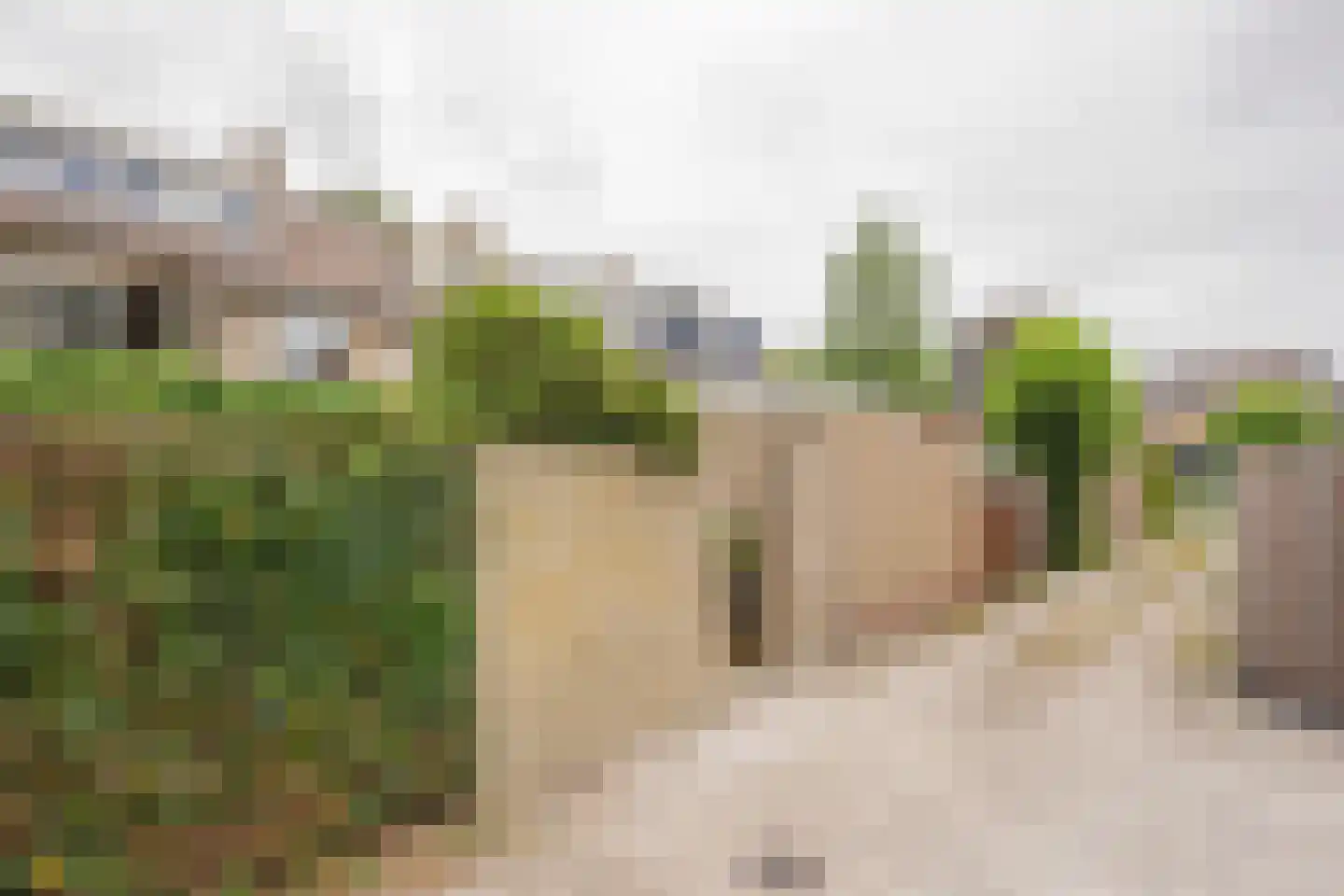 Akker 52 De Bilt thumbnail 40
