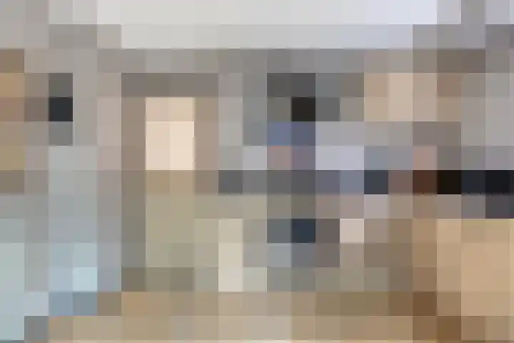 Akker 58 Borne thumbnail 14