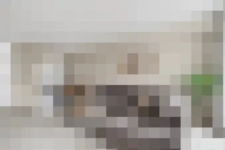 Akker 58 Borne thumbnail 16