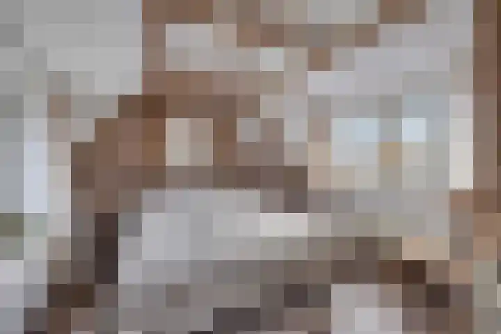Akker 58 Borne thumbnail 22