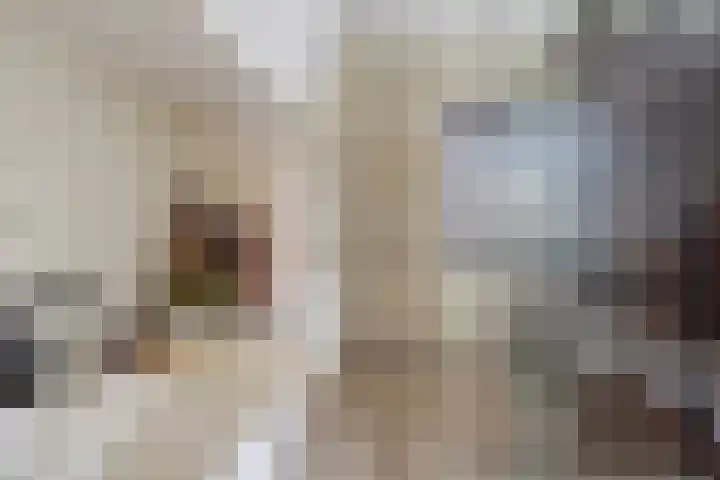 Akker 58 Borne thumbnail 24