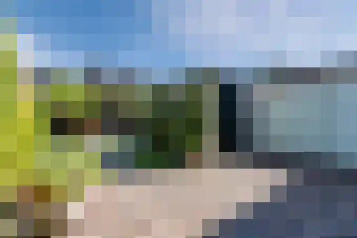 Akker 58 Borne thumbnail 31