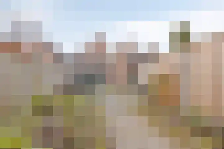 Akker 58 Borne thumbnail 32