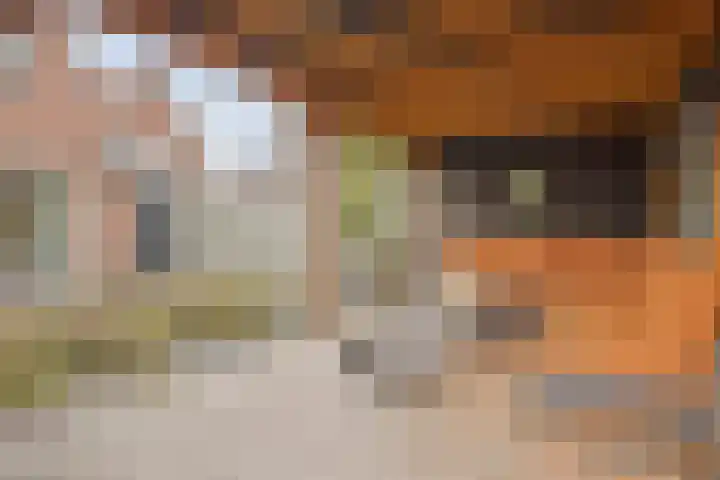 Akker 58 Borne thumbnail 38