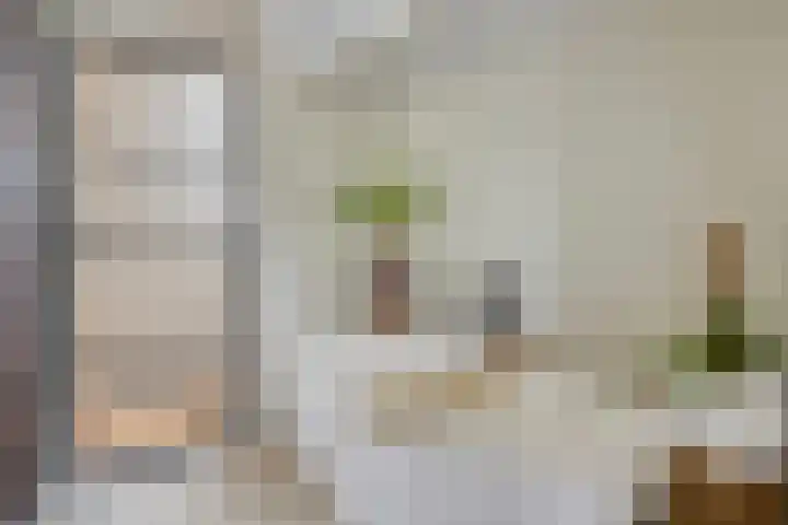 Akker 58 Borne thumbnail 4