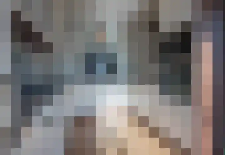 Akker 6 Heythuysen thumbnail 6