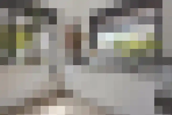 Akker 6 Middenbeemster thumbnail 15