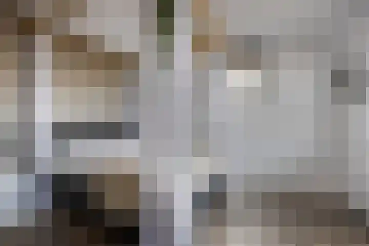 Akker 6 Middenbeemster thumbnail 21