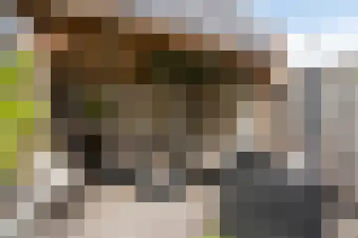 Akker 6 Middenbeemster thumbnail 33