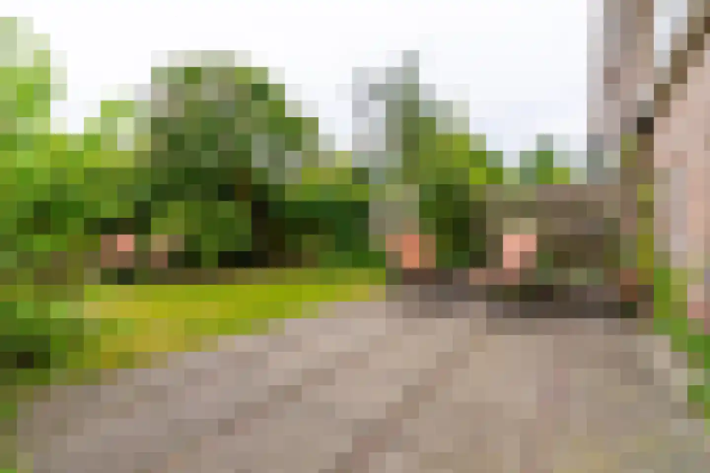 Akker 73 De Bilt thumbnail 28
