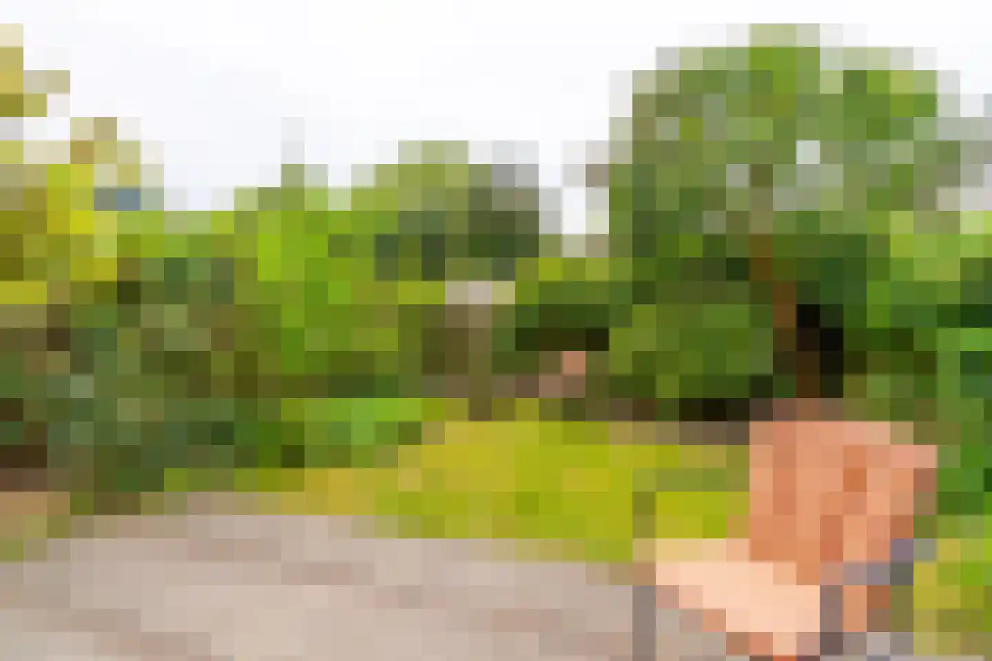 Akker 73 De Bilt thumbnail 29