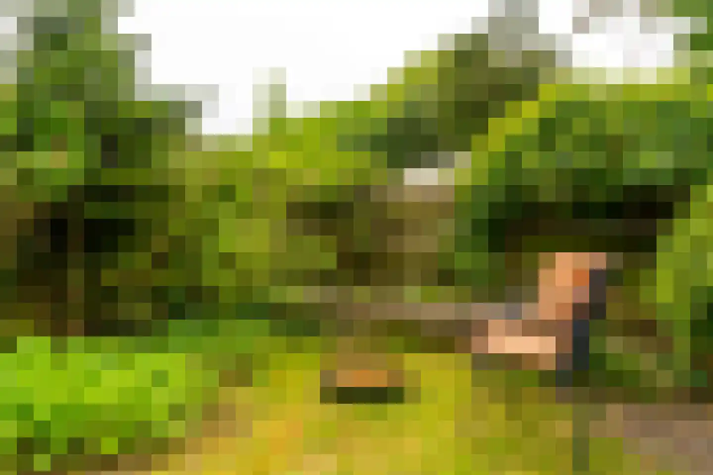 Akker 73 De Bilt thumbnail 30