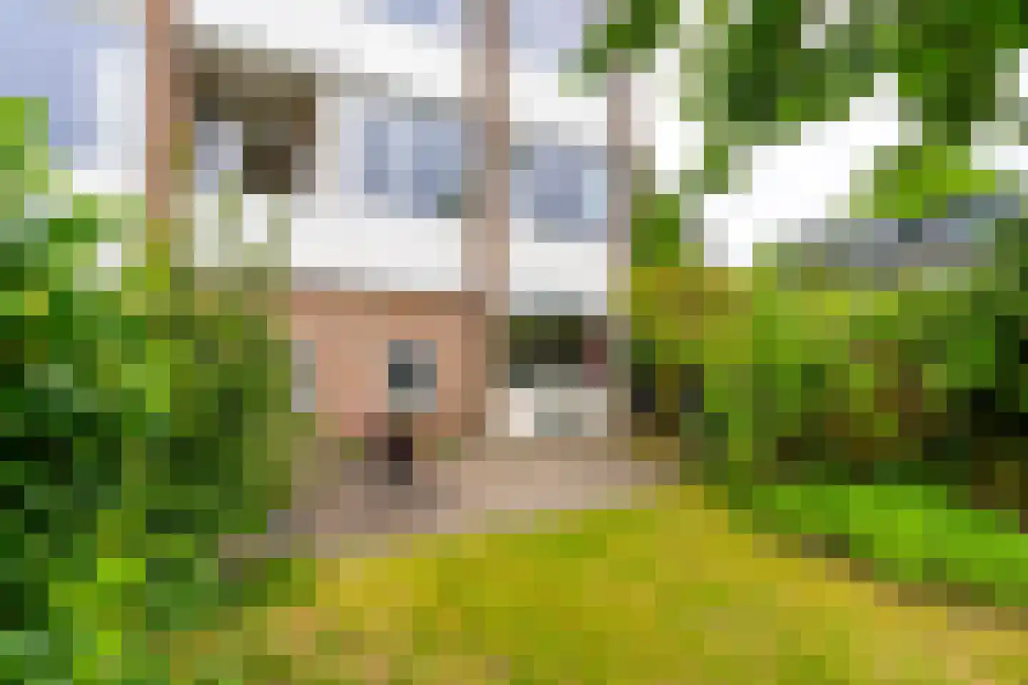 Akker 73 De Bilt thumbnail 31