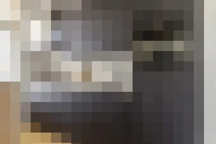 Akker 79 De Bilt thumbnail 11