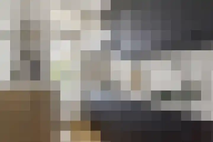 Akker 79 De Bilt thumbnail 13