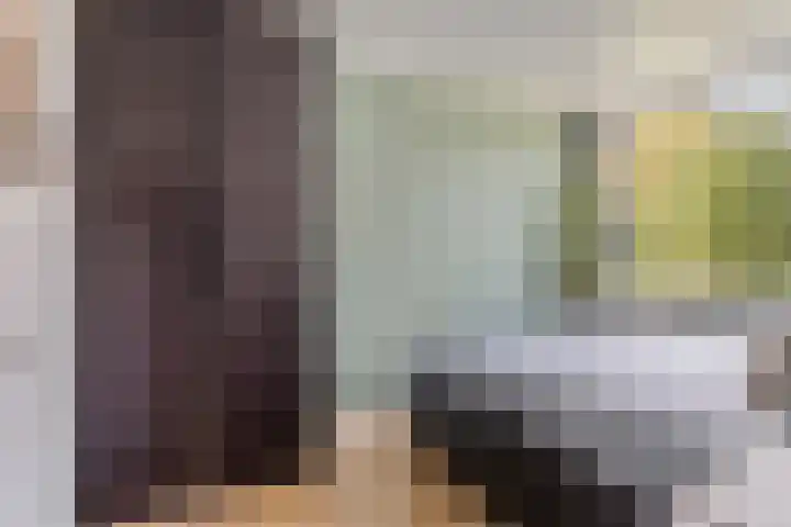 Akker 79 De Bilt thumbnail 16