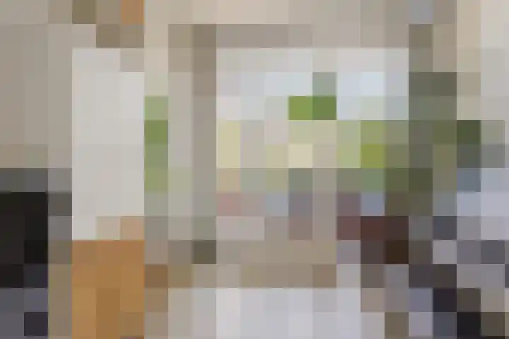Akker 79 De Bilt thumbnail 21