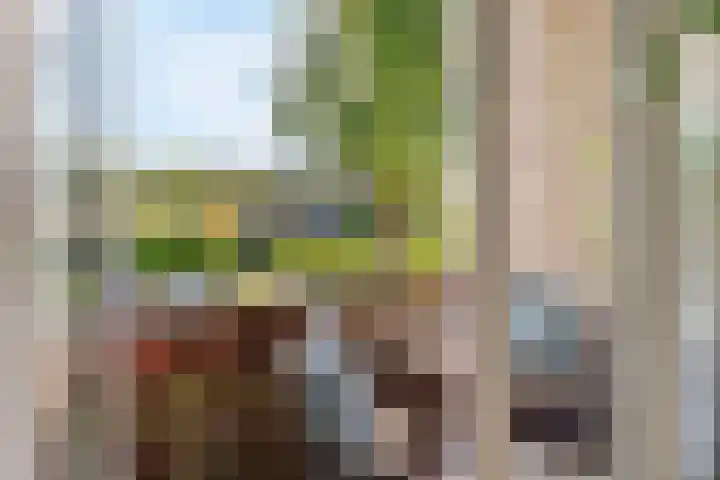 Akker 79 De Bilt thumbnail 22