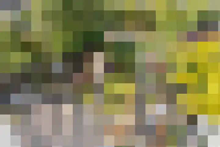 Akker 79 De Bilt thumbnail 24