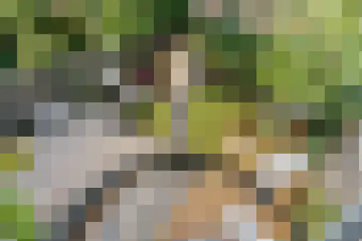 Akker 79 De Bilt thumbnail 26