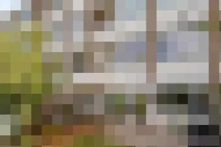 Akker 79 De Bilt thumbnail 28