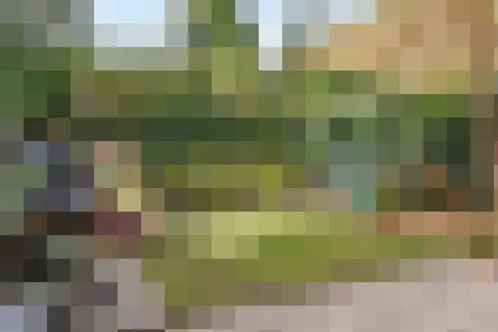 Akker 79 De Bilt thumbnail 30