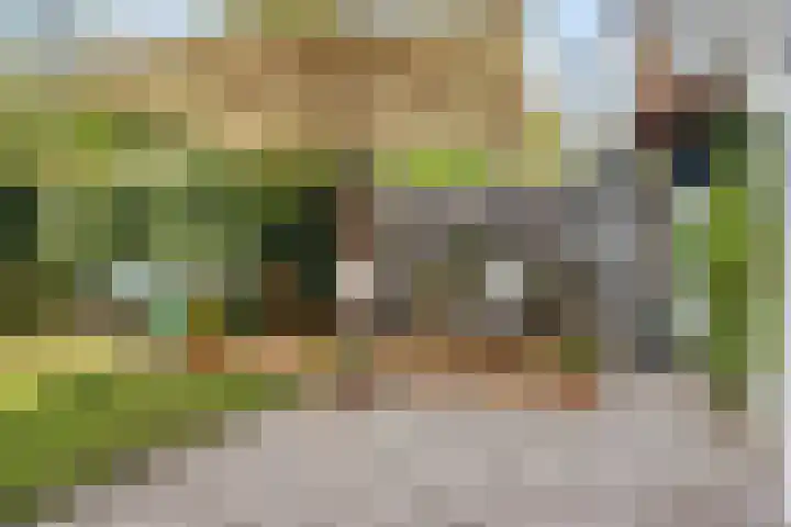 Akker 79 De Bilt thumbnail 31