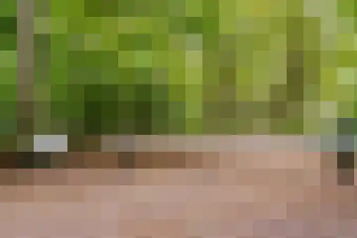 Akker 79 De Bilt thumbnail 35