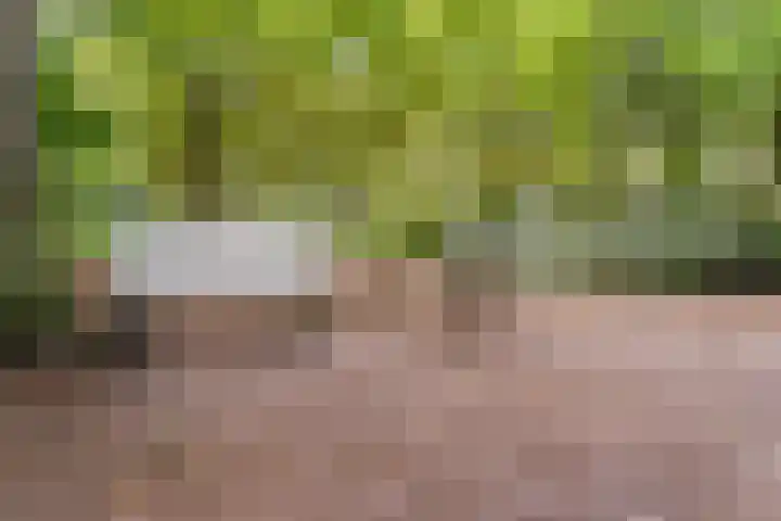 Akker 79 De Bilt thumbnail 36