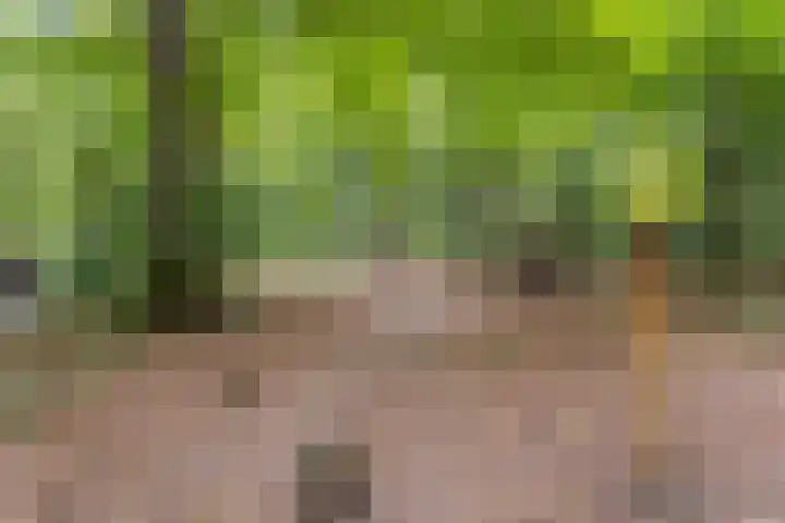 Akker 79 De Bilt thumbnail 37