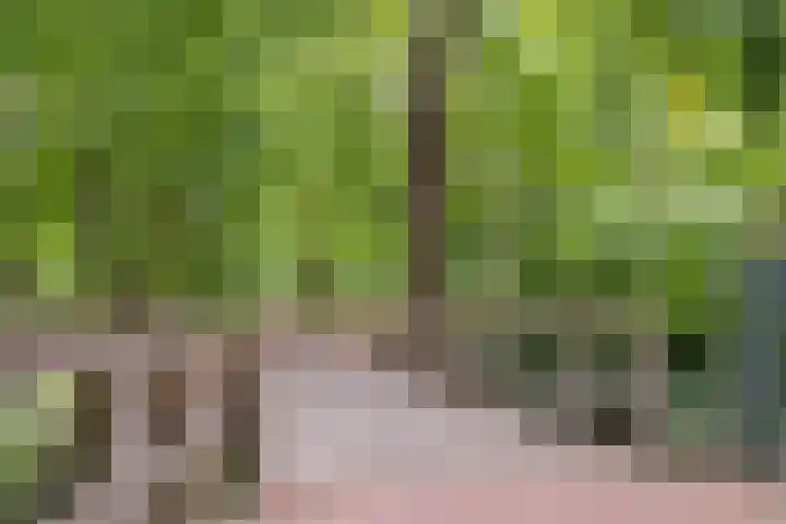 Akker 79 De Bilt thumbnail 38