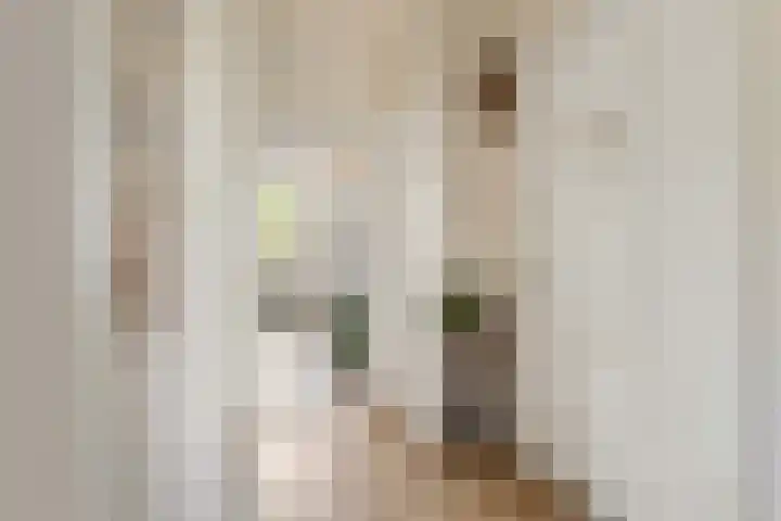 Akker 79 De Bilt thumbnail 9