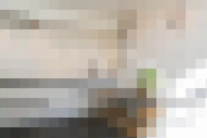 Akker 8 Lieshout thumbnail 20