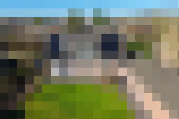 Akker 8 Lieshout thumbnail 38