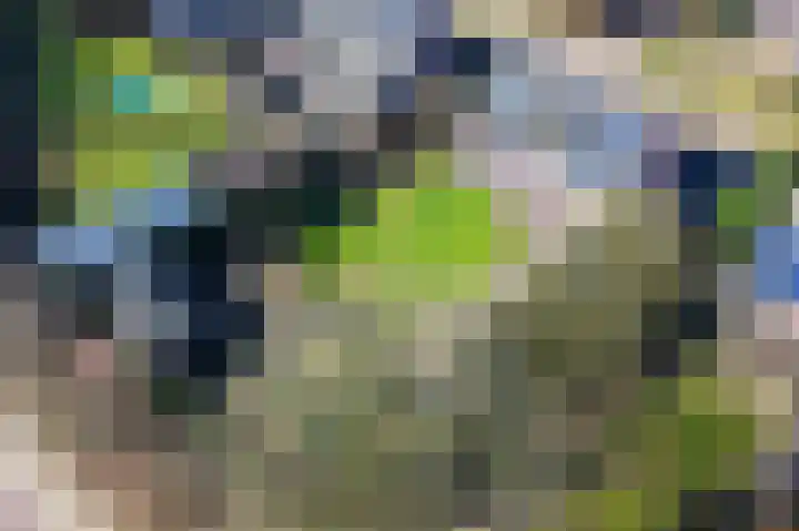 Akker 8 Lieshout thumbnail 57