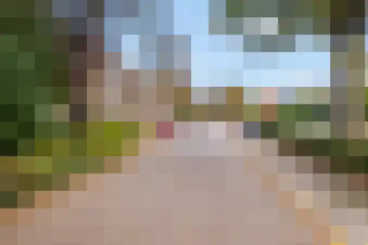 Akker 81 De Bilt thumbnail 28