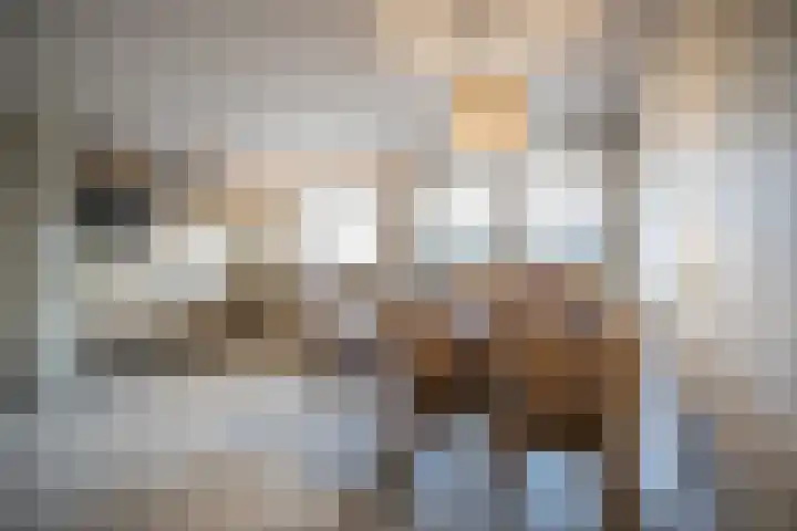 Akker 9 Vriezenveen thumbnail 15