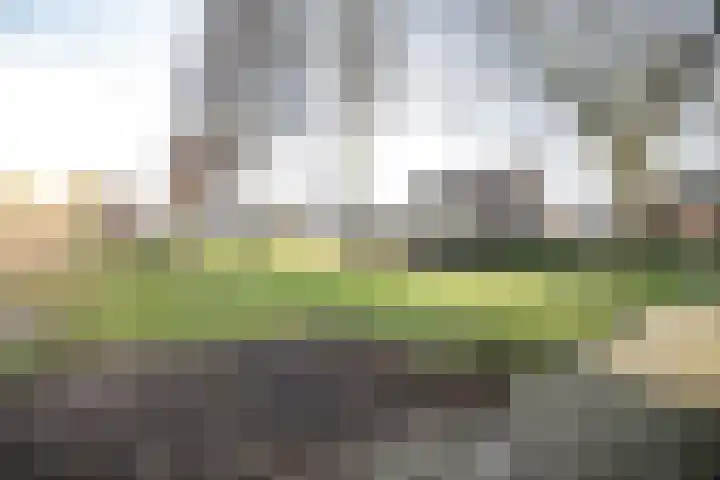 Akker 9 Vriezenveen thumbnail 42