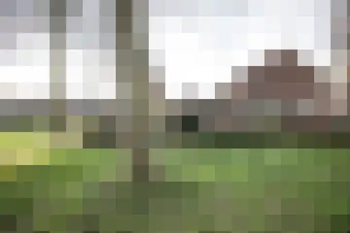 Akker 9 Vriezenveen thumbnail 43