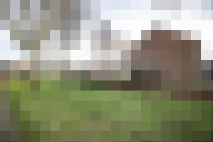 Akker 9 Vriezenveen thumbnail 44