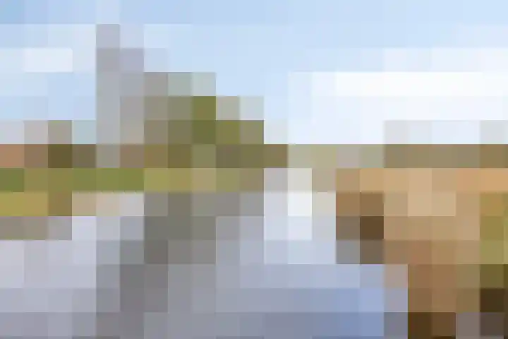 Akker 90 Brielle thumbnail 20