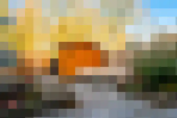 Akker 90 Brielle thumbnail 23