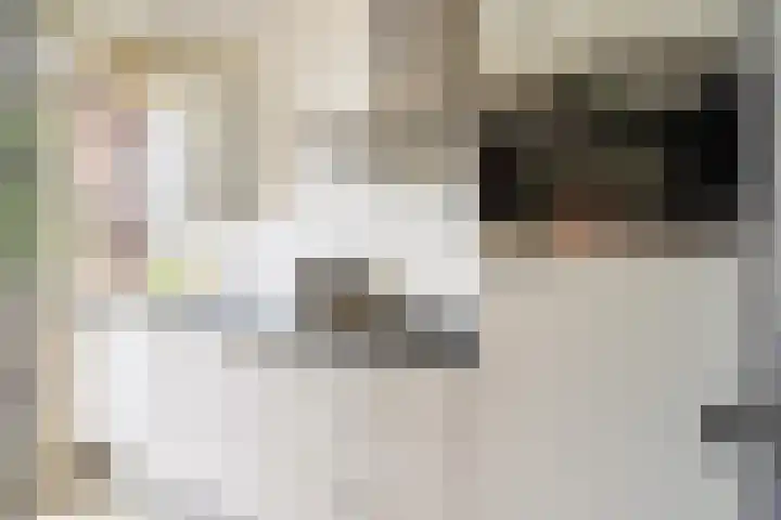 Akker 91 De Bilt thumbnail 13