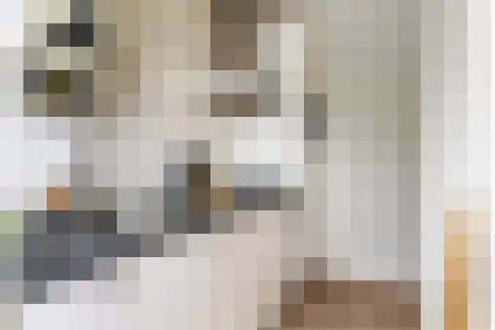Akker 91 De Bilt thumbnail 14