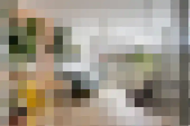 Akker 91 De Bilt foto 3