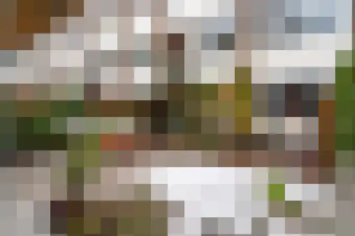 Akker 91 De Bilt thumbnail 34