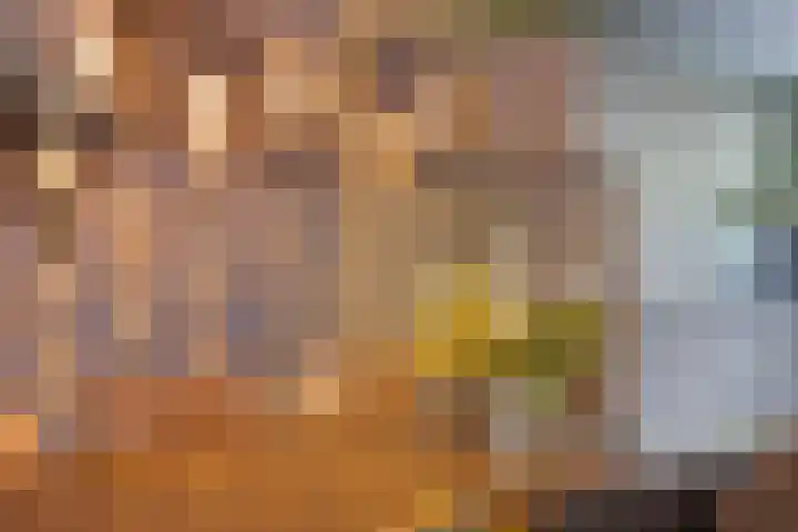 Akker 91 De Bilt thumbnail 40